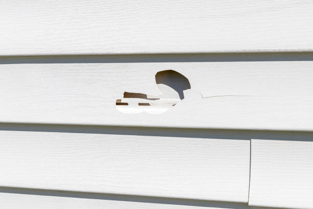 Affordable Siding Repair and Maintenance Services in Bolivar Peninsula, TX