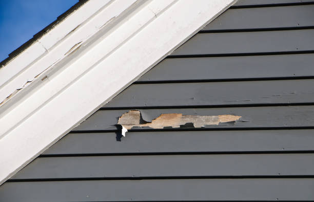 Best Fascia and Soffit Installation  in Bolivar Peninsula, TX